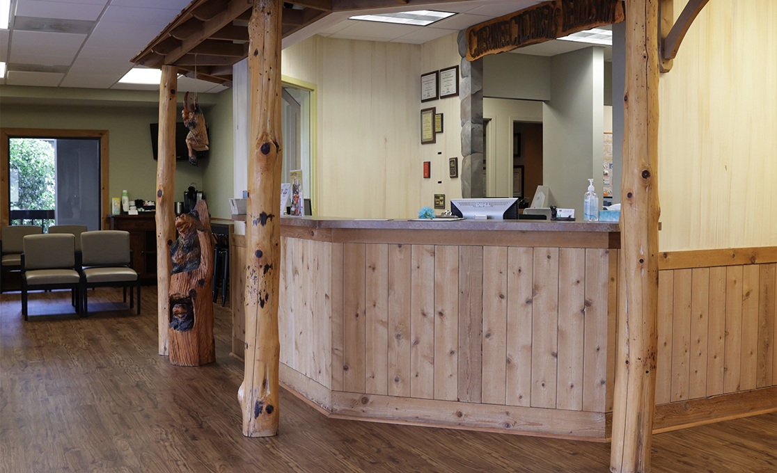 Pediatric dental office reception desk