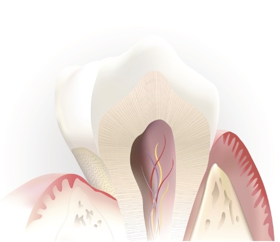 Animated tooth in need of pulp therapy